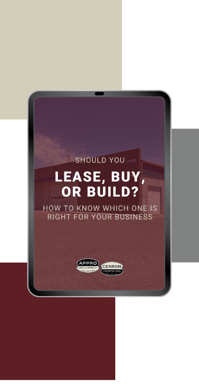 Appro Lead Magnet CTA Image3